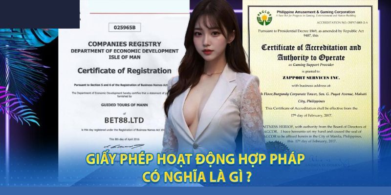 Giới thiệu giấy phép hoạt động Hi88